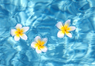 Achieving an Eco-Friendly Pool for Earth Day