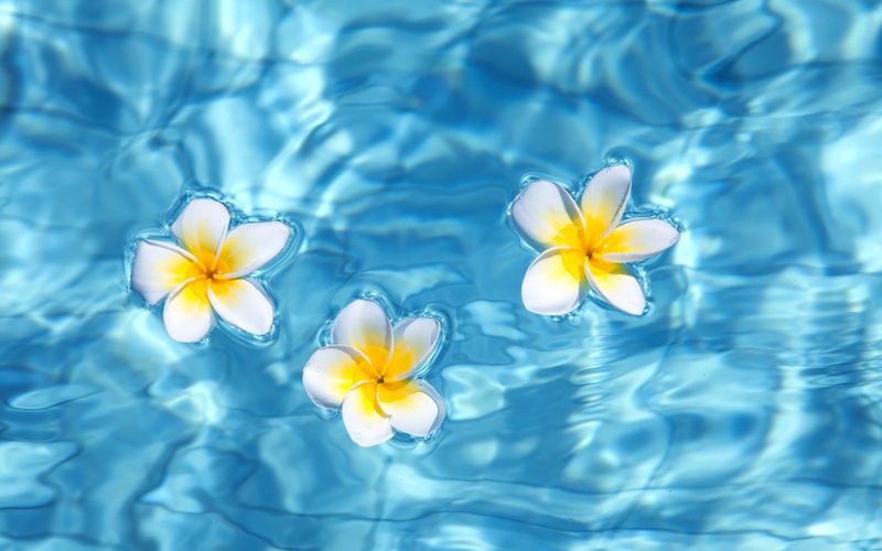 Achieving an Eco-Friendly Pool for Earth Day