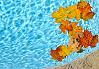 Central Florida: Why Fall’s the Time to Build Your Pool