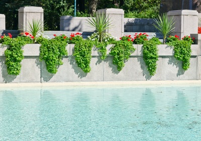 Your Guide to In-Pool Planters