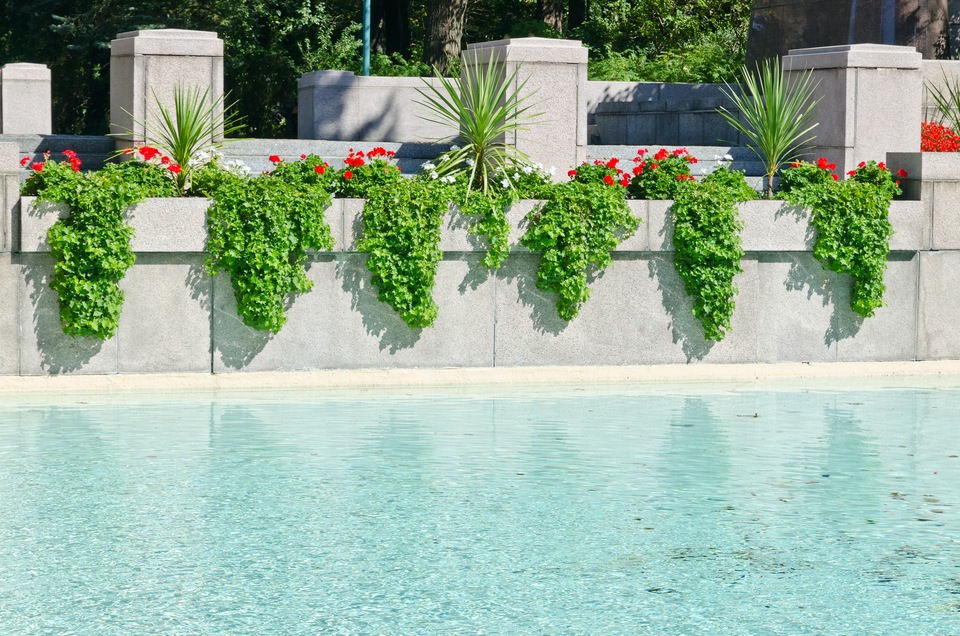 Your Guide to In-Pool Planters