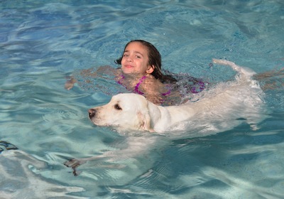 Your Ormond Swimming Pool: Safety Tips For Swimming With Your Dog